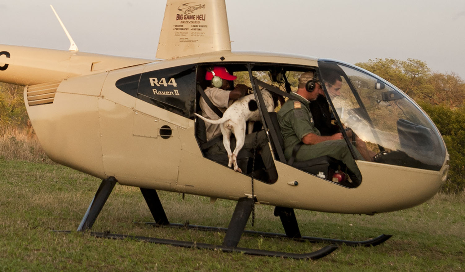 kruger dogs helicopter