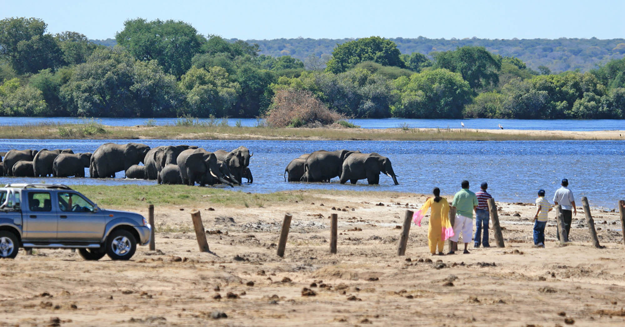 elephant pathways river