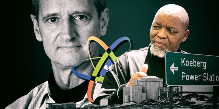Gwede Mantashe axing of nuclear watchdog activist Peter Becker was unconstitutional, rules court