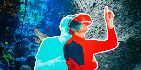 Hi-tech virtual reality is poised to revolutionise conservation experiences