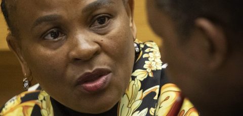 Mkhwebane had only the ‘masses of the poor’ in mind in her bid to alter Constitution — Mpofu