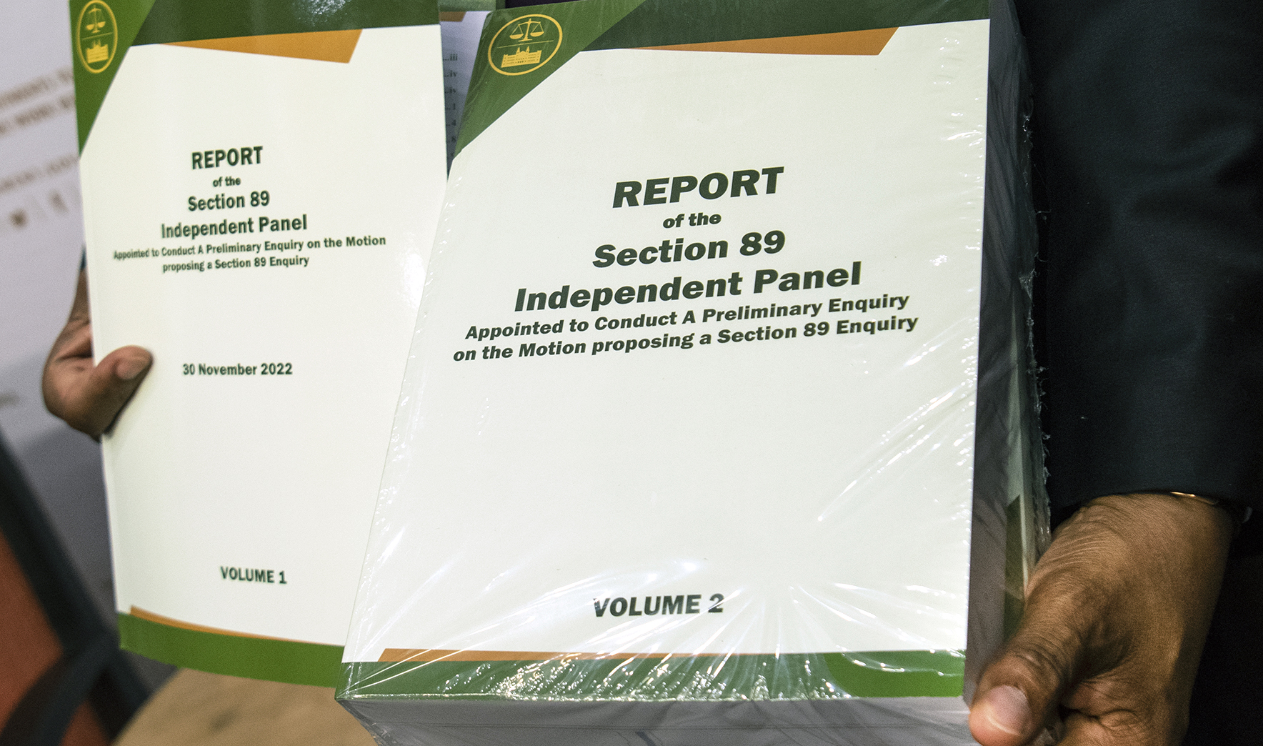 Phala Phala Section 89 Panel Report