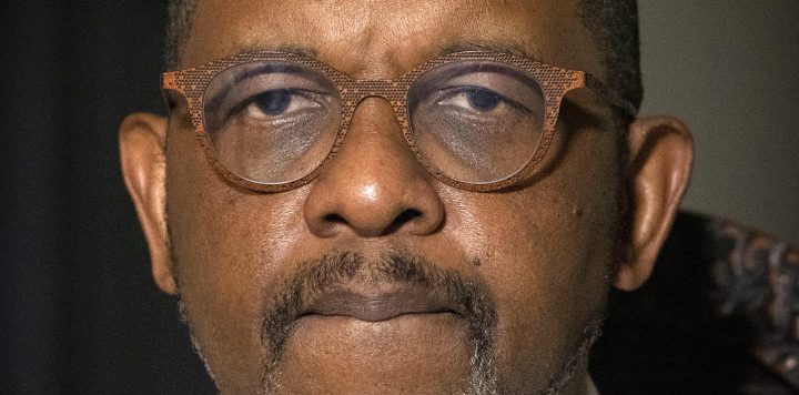 Dali Mpofu’s forays into the swamps of invective play fast and loose with legal ethics