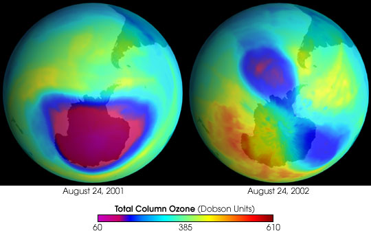 The Antarctic Ozone Hole in 2001 compared to 2002. Image by Greg Shirah, NASA GSFC Scientific Visualization Studio, based on data from EPTOMS.