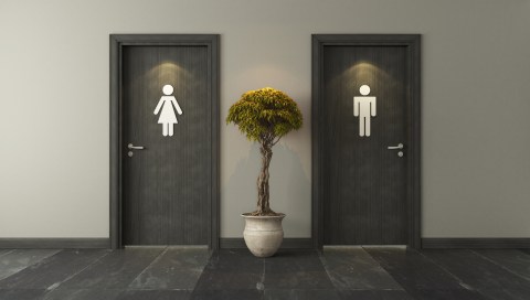 Toilet design is still stuck in Elizabethan times — we can flush with success using just one or two litres
