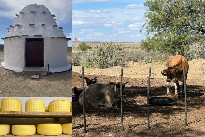 The moon-lit cheeses of the Karoo Highlands