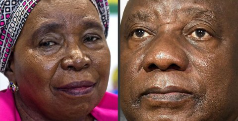 ‘It was not about a man, or woman’ — Women’s League defends choosing Ramaphosa over Dlamini Zuma in presidency bid