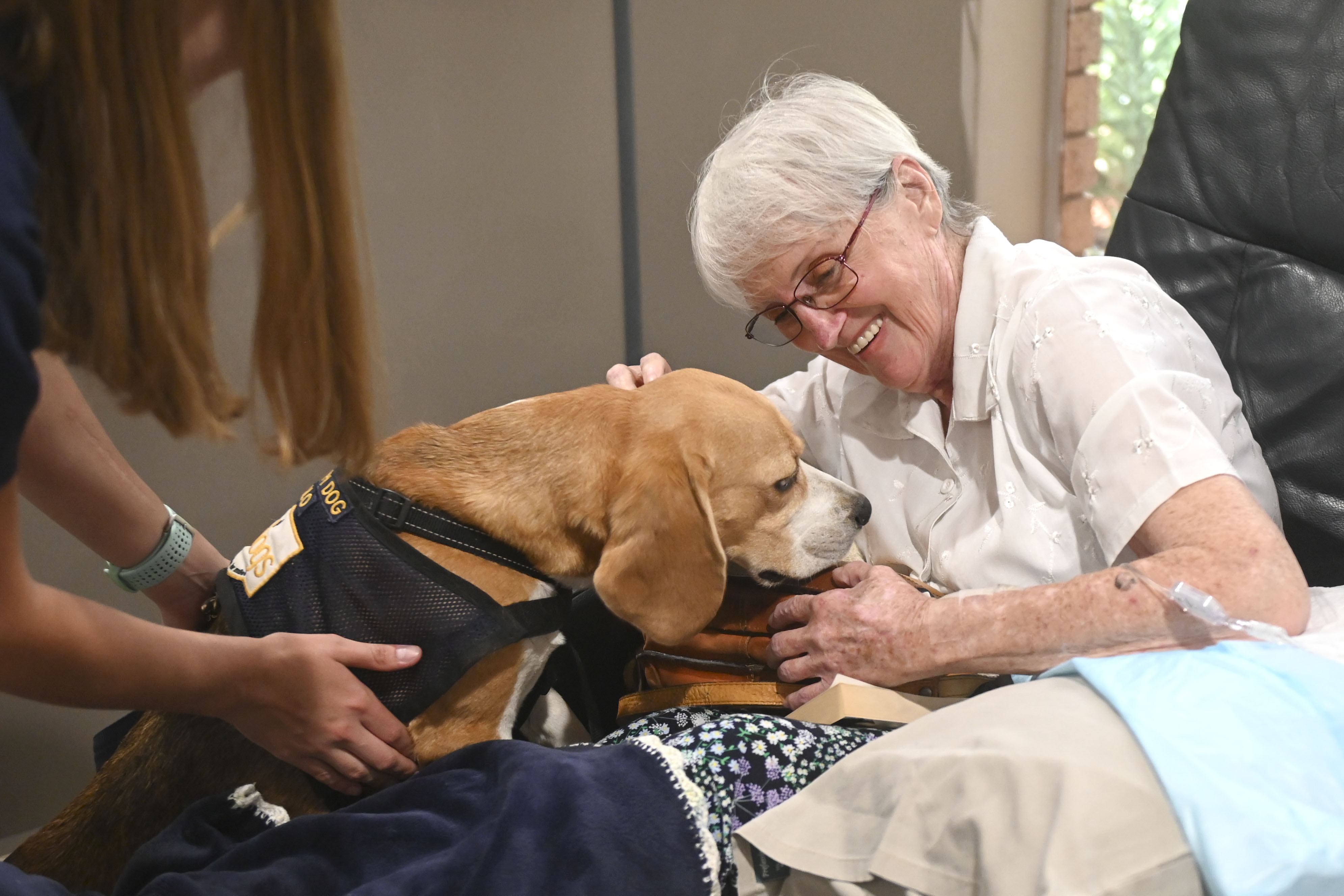Rolo (Beagle) cheers Gayle Fritteli (77) in the Oncology unit of Life Wilgers Hospital on November 21, 2022 in Pretoria, South Africa. Four Top therapy dogs visited the Oncology unit to improve patients' state of mind. (Photo by Gallo Images/Beeld/Deaan Vivier)