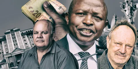 ‘Land scam kingpin’ – Deputy President David Mabuza named as top suspect in organised crime complaint