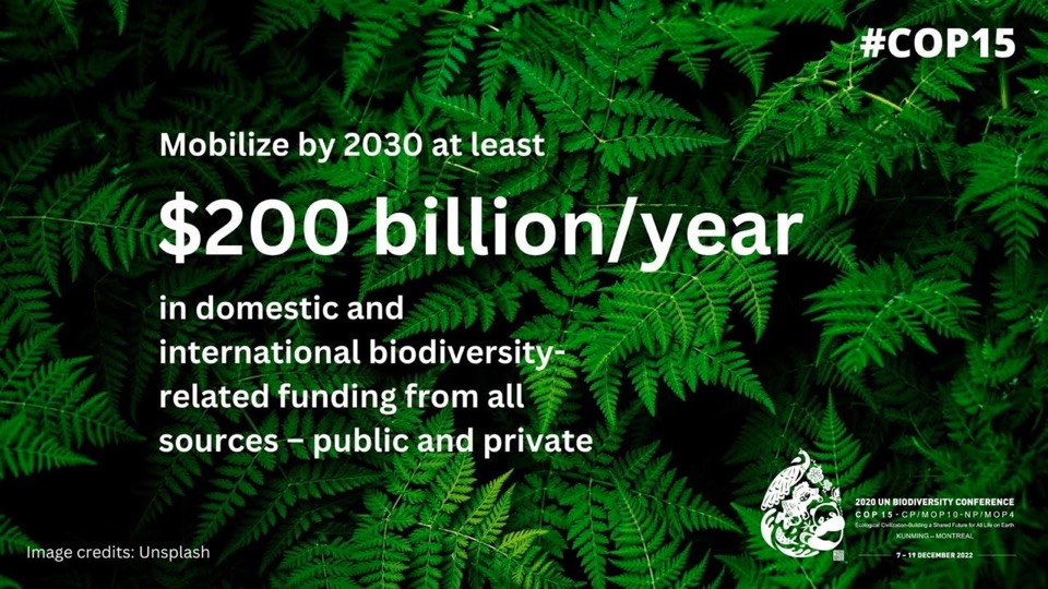 UN biodversity deal