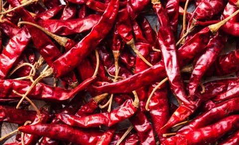 Why some like it hot: The science of spiciness
