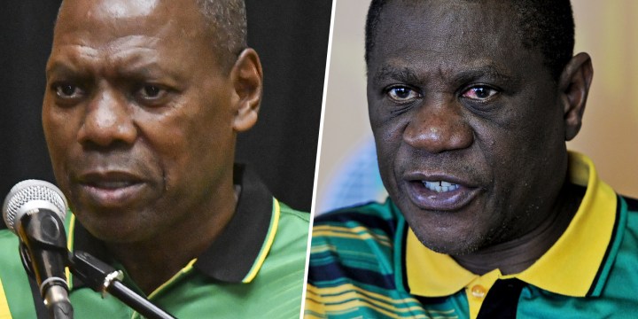 ANC MPs join Mkhize and Mashatile in rebranding themselves as corruption-busters