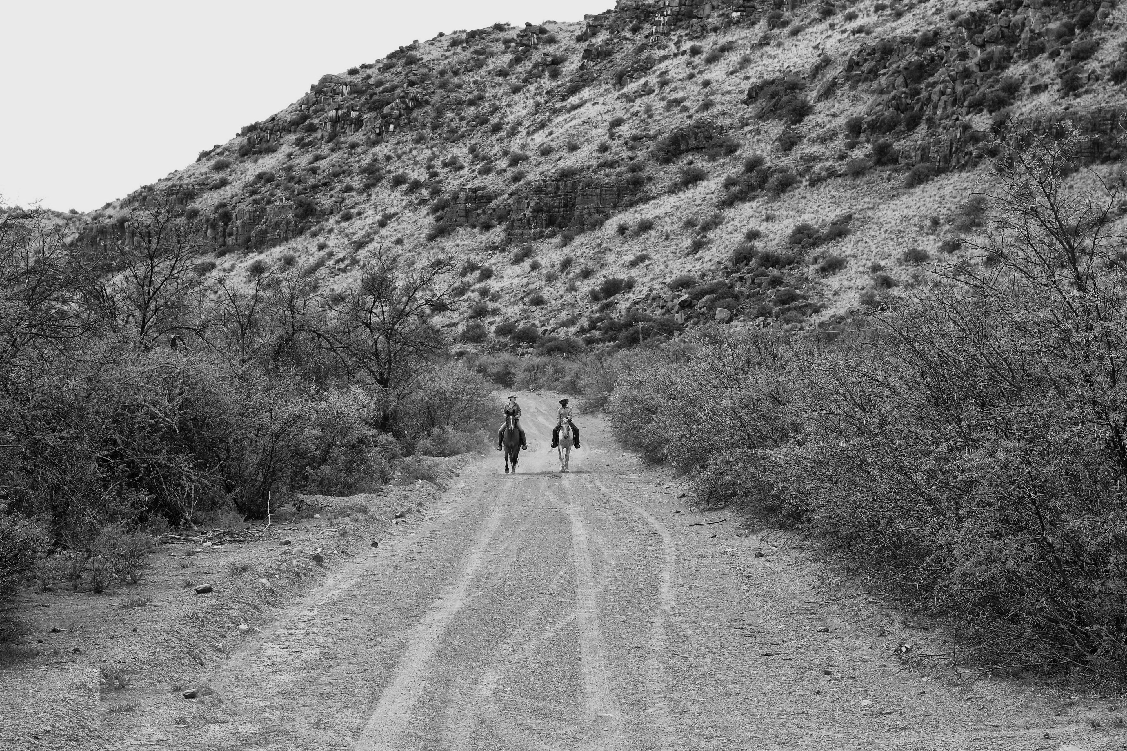 Julie and Pieter riding through the Sneeuberg range.