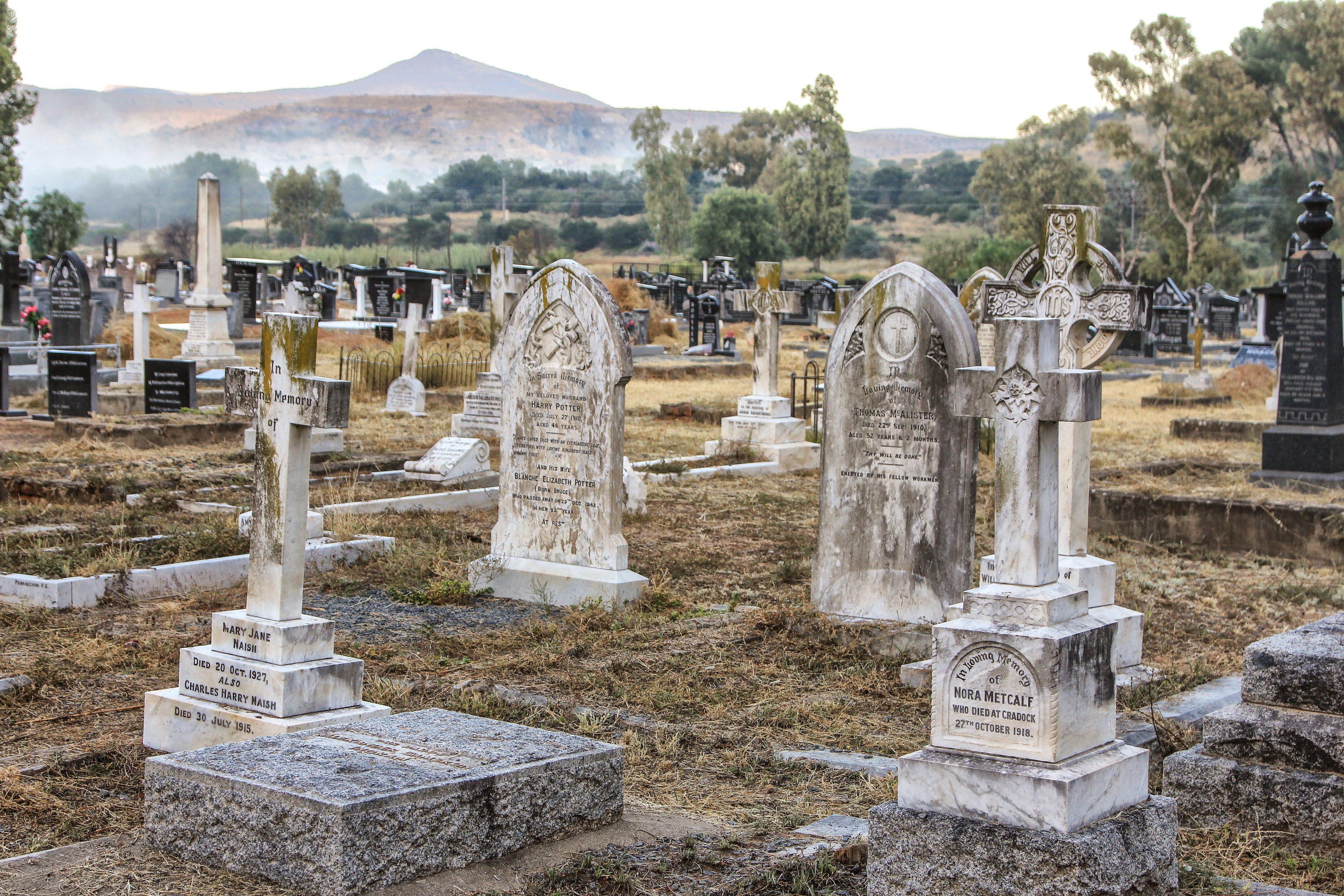 The main Cradock cemetery on a misty autumn morning – full of atmosphere and legend. Image: Chris Marais