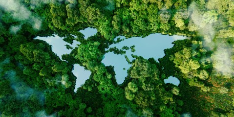 UN biodiversity deal reached to protect 30% of world’s lands by 2030