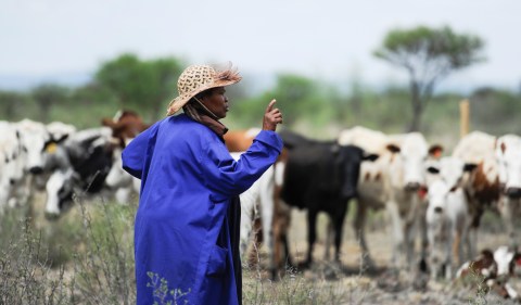 Rural women in agriculture bear the brunt of climate events – but see little economic crisis protection