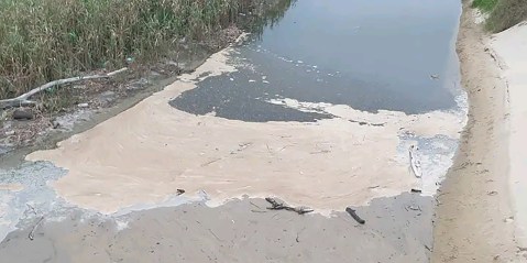 East London municipality faces court action over sewage spills that pollute beaches and rivers