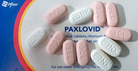 Covid-19 drug Paxlovid registered for use in South Africa