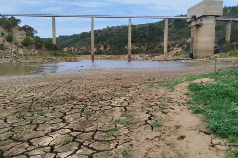 Dam in Nelson Mandela Bay is at its lowest level yet
