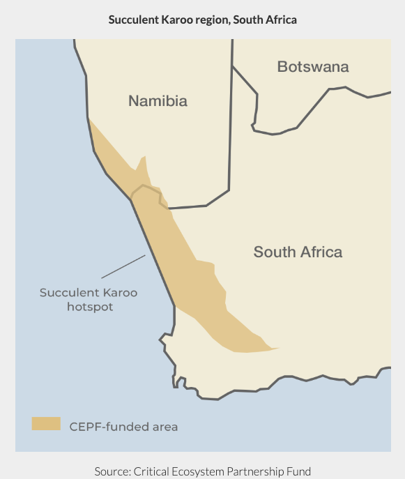 Succulent Karoo region, South Africa