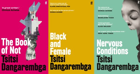 Tsitsi Dangarembga’s Books of Not – Life through the eyes of Tambudzai