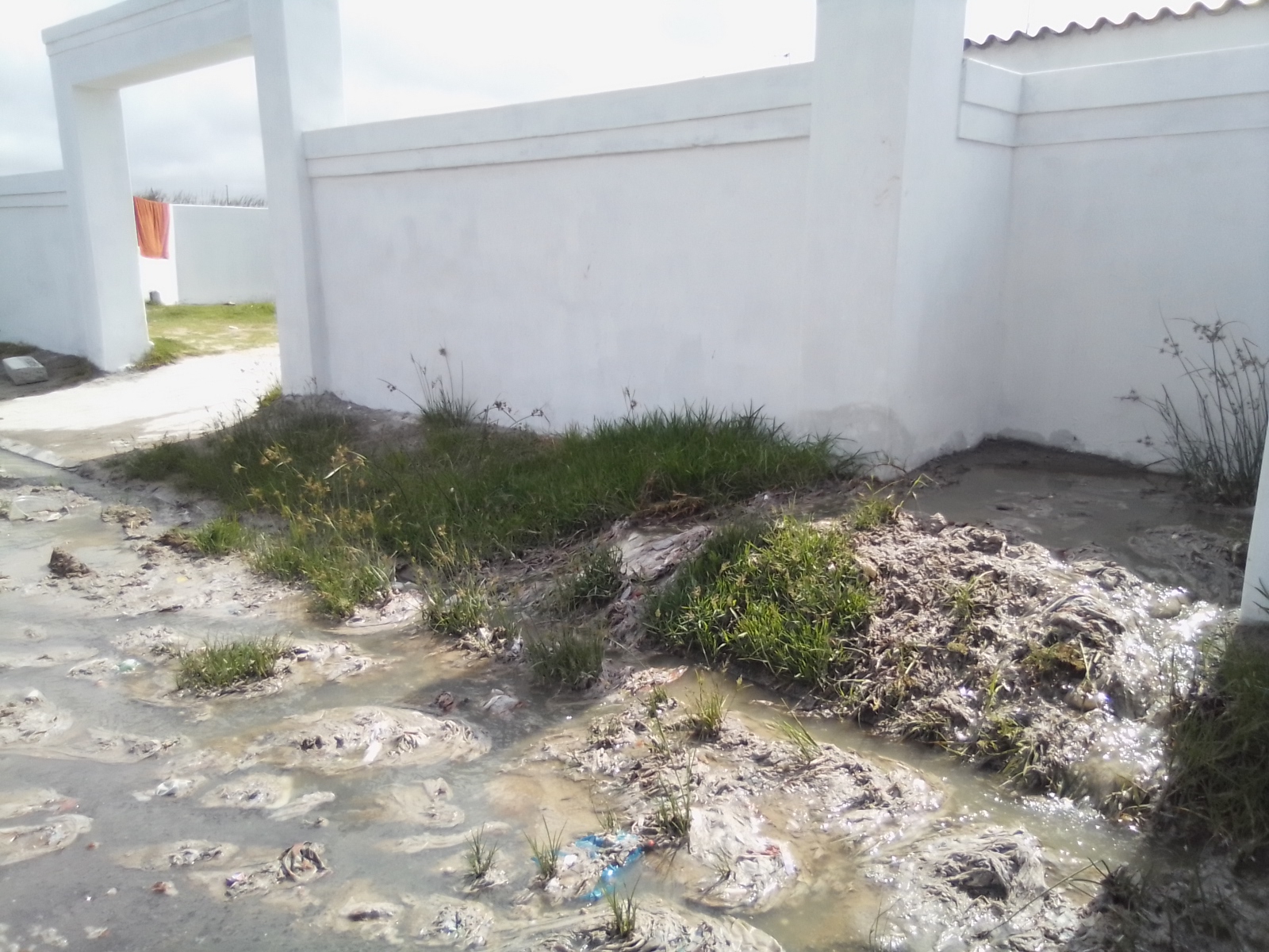 Stagnant sewage in Philippi streets