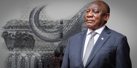 What a load off Rama Soft — Cyril had to cancel Davos, but it’s a relief for him, and for SA