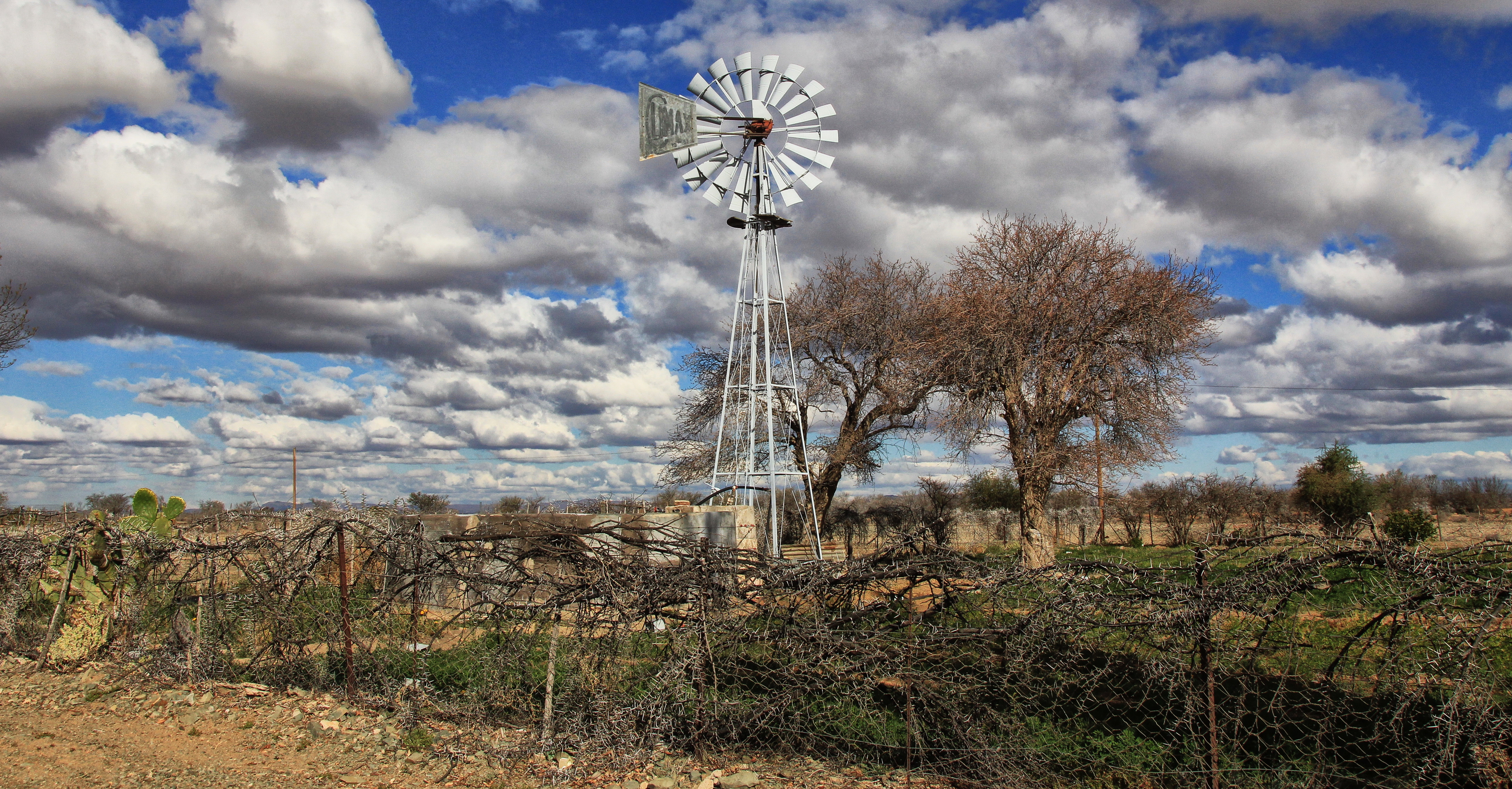 Many backyards sport windpumps, spinning in the breeze and pulling up sweet water. Image: Chris Marais