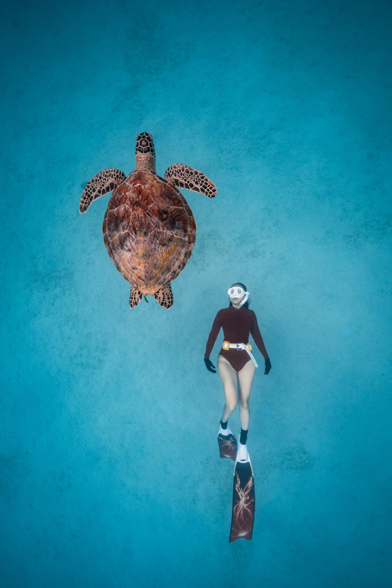 'Turtle Dream'. A female diver glides peacefully alongside a friendly sea turtle off the coast of Perhentian Island, Malaysia, a harmonious coexistence between human and nature. © Thiện Nguyễn Ngọc, Vietnam, Winner, National Awards, Sony World Photography Awards 2023