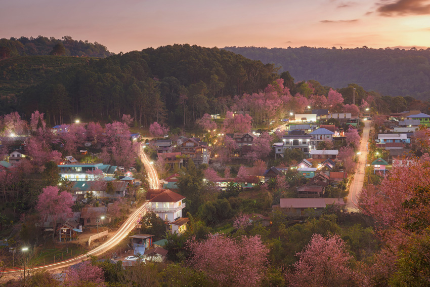 'Pink Village.' Every year between November and February, wild Himalayan cherry trees blossom around the village of Ban Rong Kla in Thailand. On the way to the village you have to pass through Phu Hin Rong Kla National Park, which was a key communist stronghold in the long-running conflict between the country’s Royal Armed Forces and the (now defunct) Thai Communist Party. © Saravut Vanset, Thailand, Winner, National Awards, Sony World Photography Awards 2023