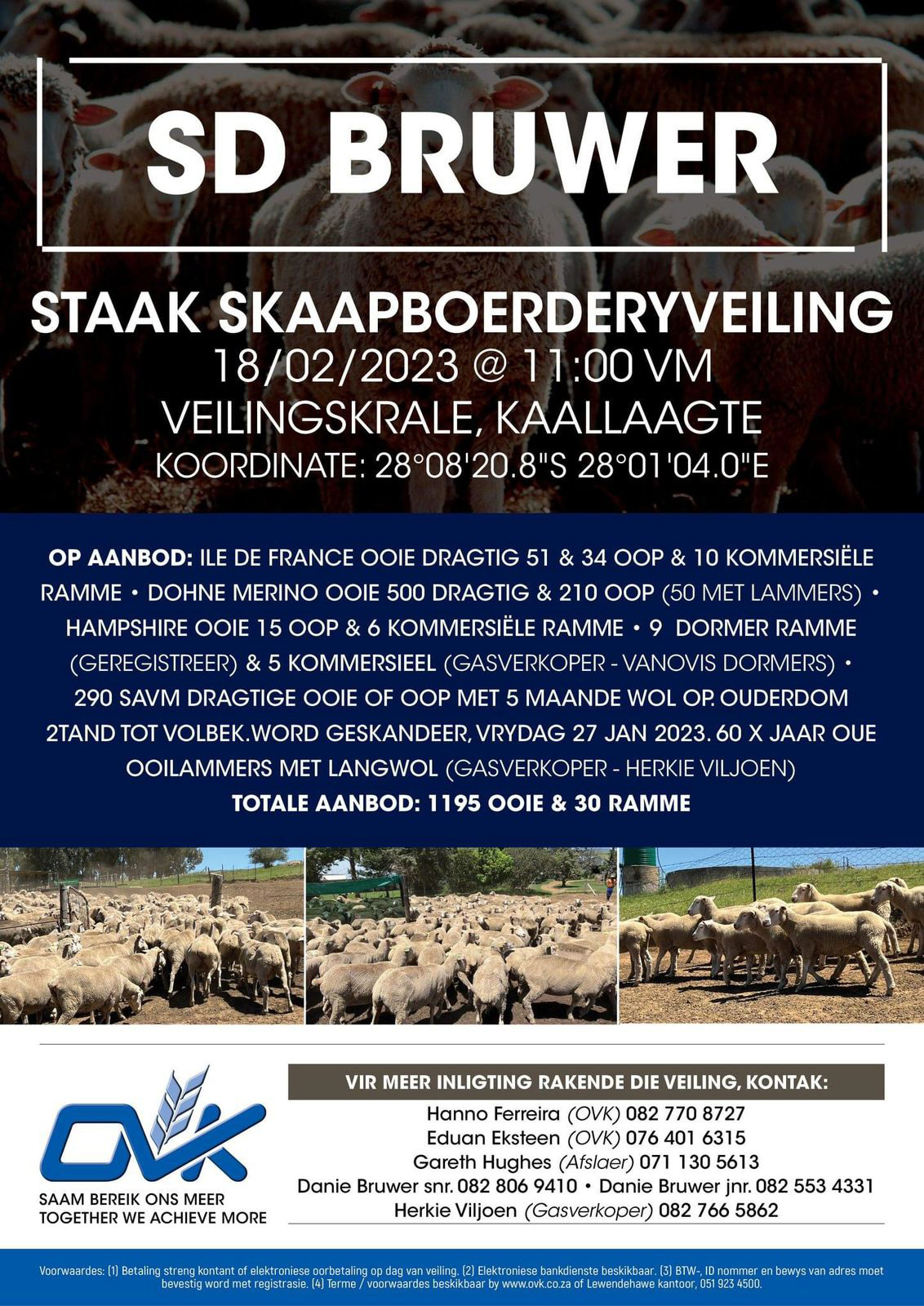stock theft auction