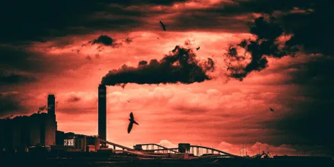 Something stinks – Eskom’s uncontrolled pollution emissions cost thousands of lives and billions of rands