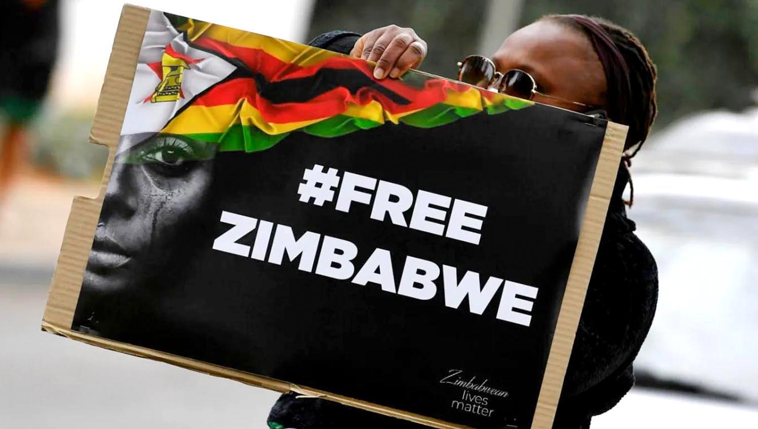 zanu-pf zimbabwe