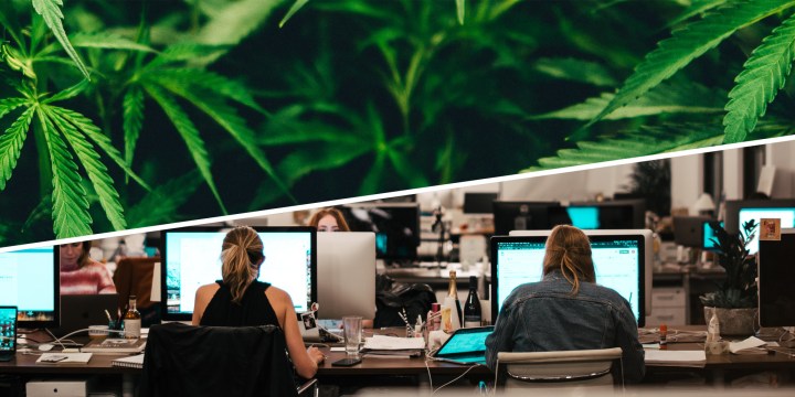Navigating the complexities of policing weed in the workplace