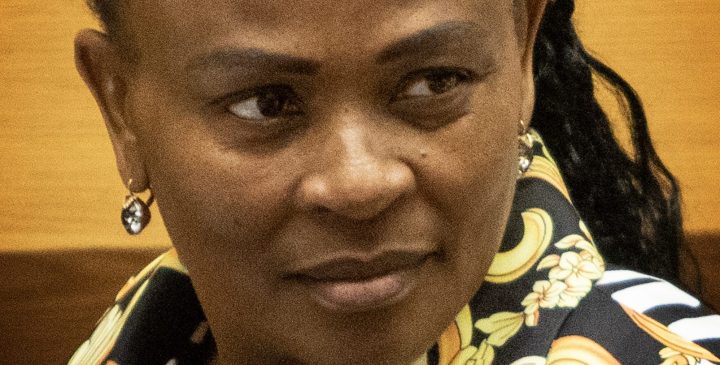Lead investigator in Mkhwebane’s ‘rogue unit’ probe admits work done was not of ‘quality’