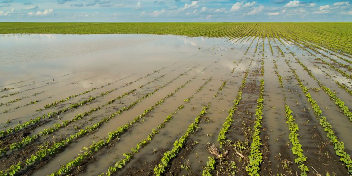 Farmers in despair as SA floods sweep away crops, infrastructure and profits