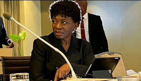 Siyaya lawyer agrees with the defence at Judge Makhubele tribunal