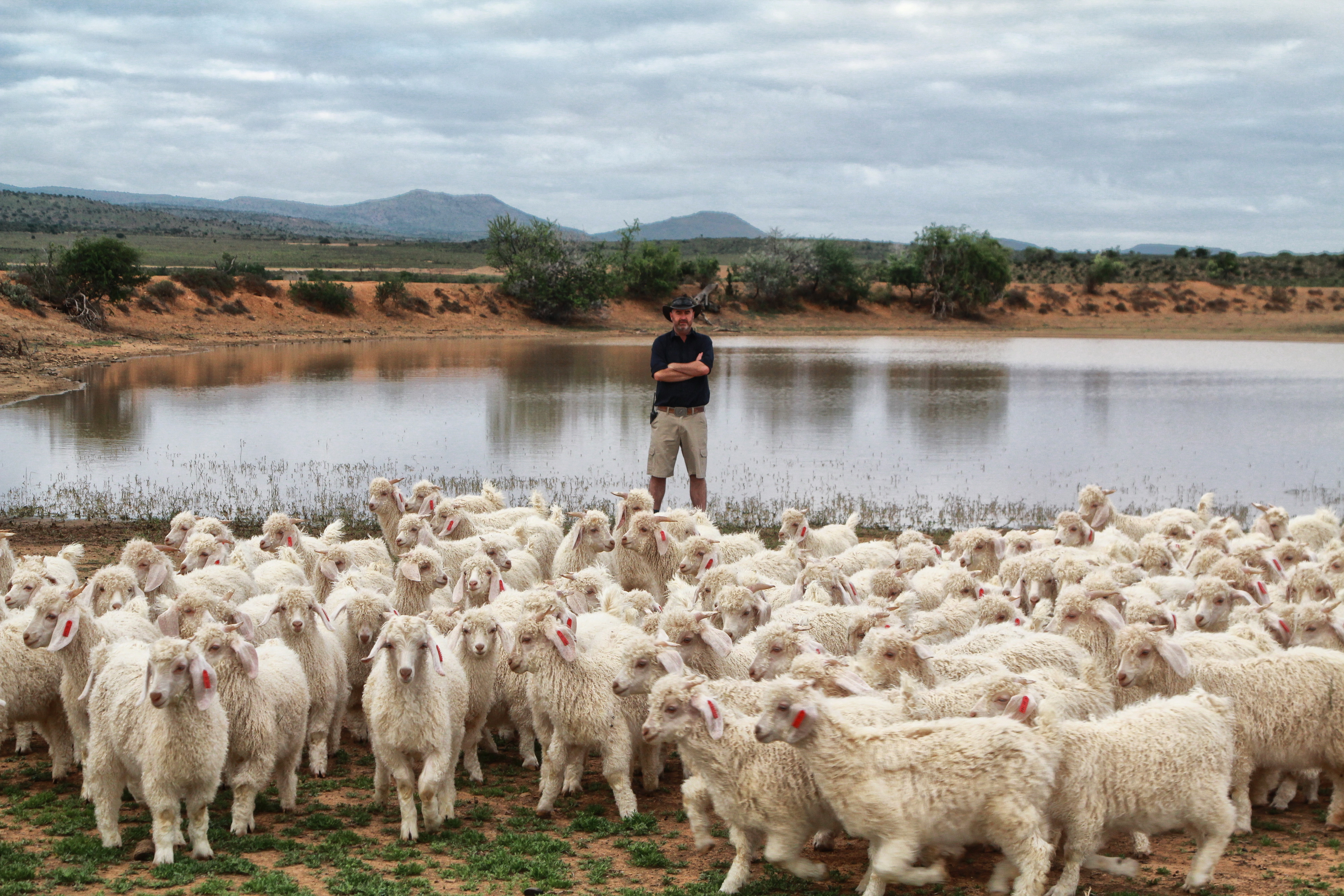 Sean Hobson of Martyrsford, the oldest Angora goat stud farm in South Africa. Image: Chris Marais