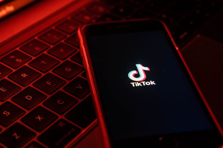 TikTok’s Chinese ownership, security concerns spark bans across nations