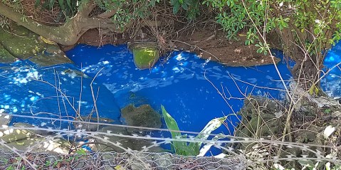 Bright blue stream sparks new call for Durban water pollution clampdown