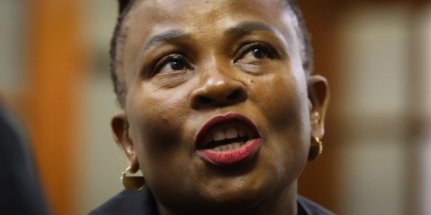Constant Gardeners: Mkhwebane and Mpofu ‘landscape’ all the way back to Zuma Spy Tapes at impeachment inquiry