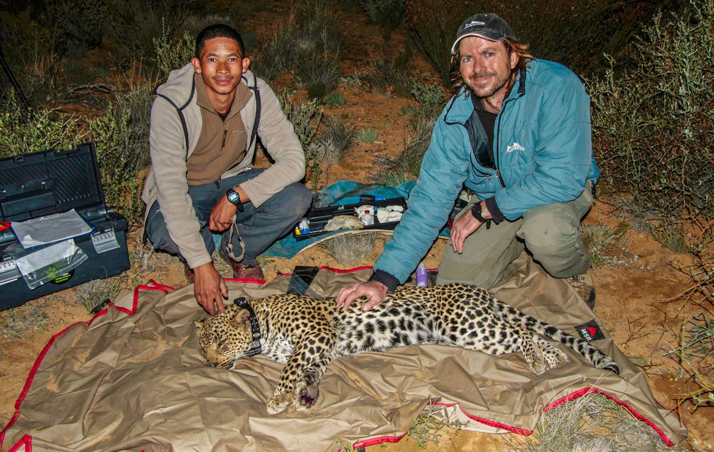 Quinton Martins, Willem Titus, leopards