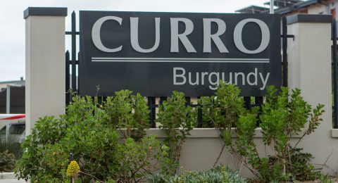 Curro’s star keeps rising as private school group posts healthy results