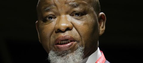 Mantashe raises red flag over lack of grid capacity, re-introduces nuclear power to mix