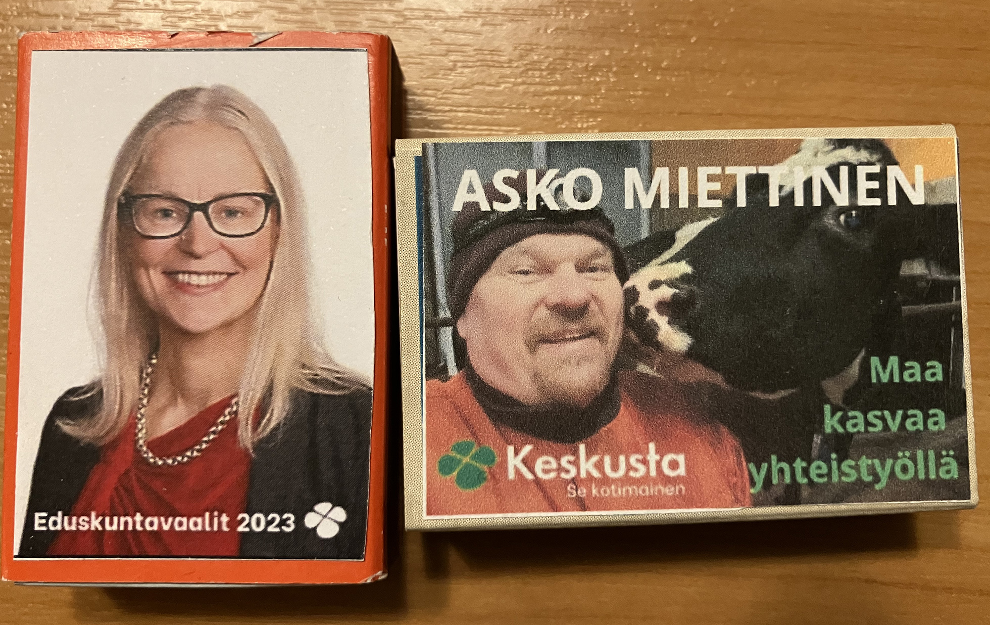 finnish election