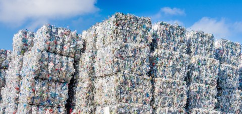 Is it time to make recycling plastic waste your business?