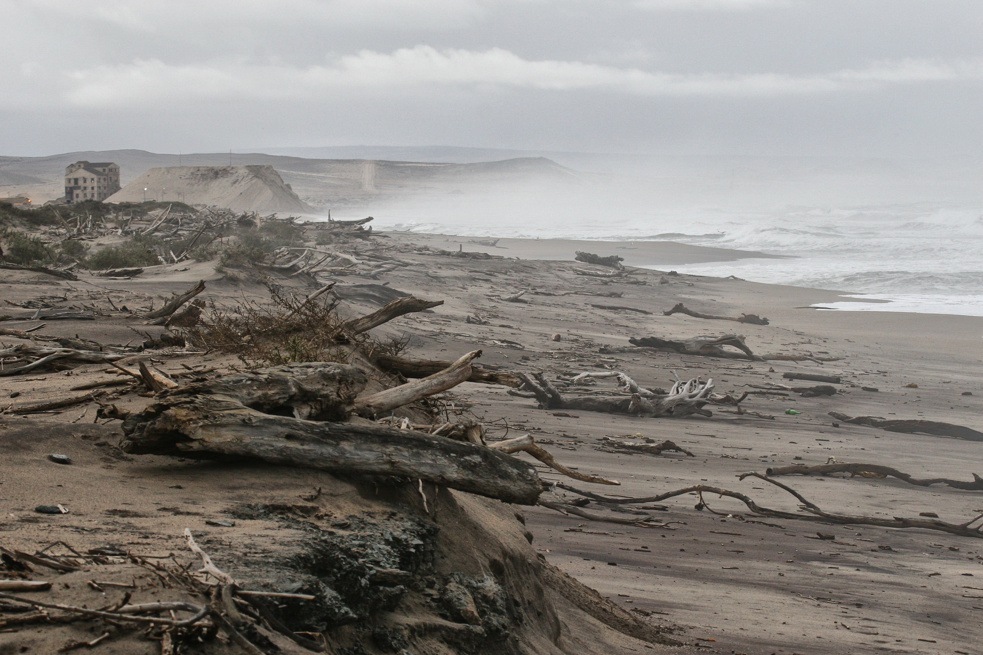 The driftwood-laden beach near the mouth of the Orange River.