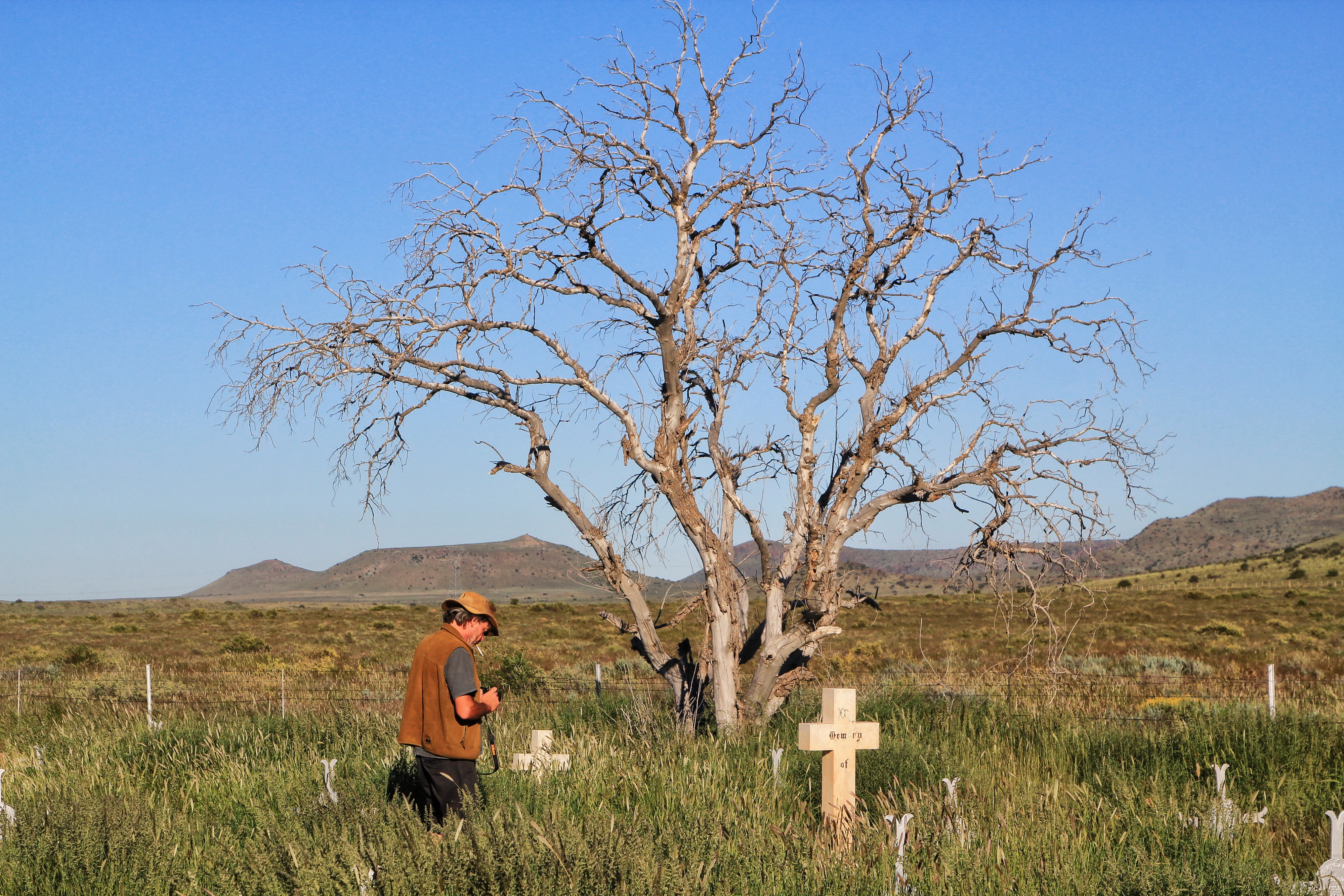 One of the skeletal trees that stand guard over the Deelfontein gravesite.