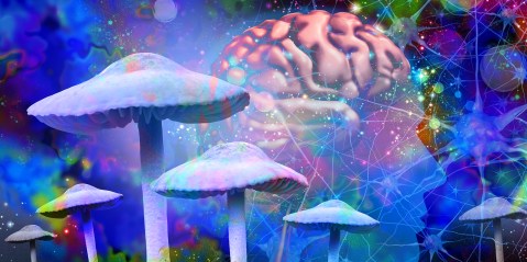 What you should know about the shroom boom and the potential psychedelic shift in mental healthcare