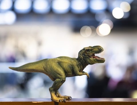 11.6 meter long, 3.9 meter high and 67-million-year-old T-Rex skeleton goes on auction, and more from around the world